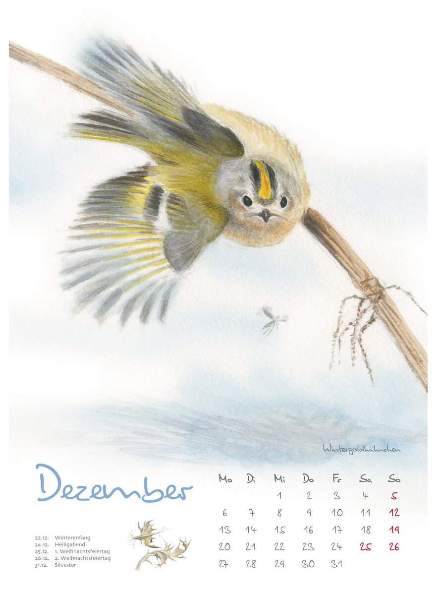 Auf diesem Bild sehen Sie das Produktbild 4 f�r KALENDER VOGELIMPRESSIONEN 2027 - CHRISTOPHER SCHMIDT
