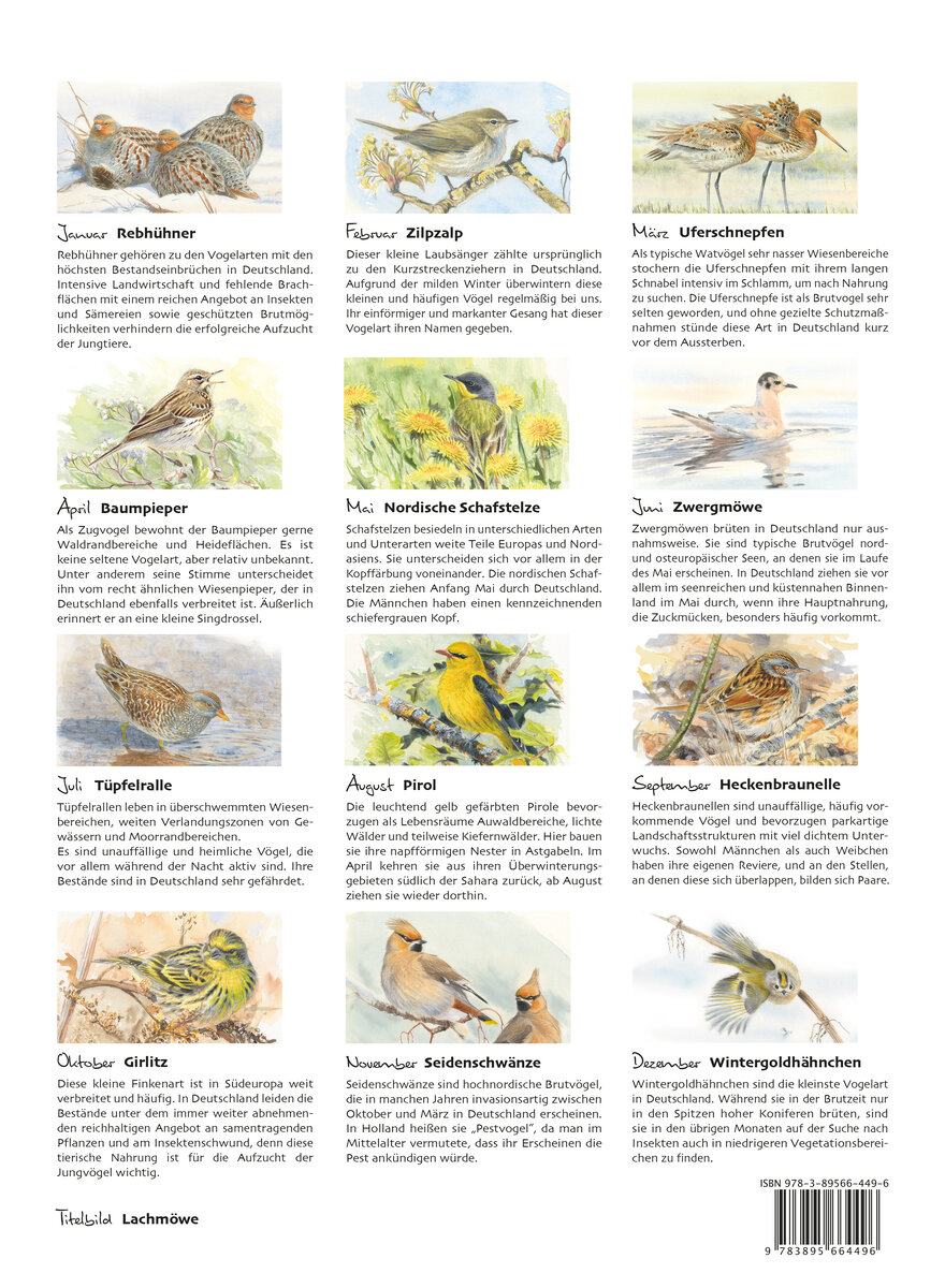 Auf diesem Bild sehen Sie das Produktbild f�r 5 KALENDER VOGELIMPRESSIONEN 2027 - CHRISTOPHER SCHMIDT