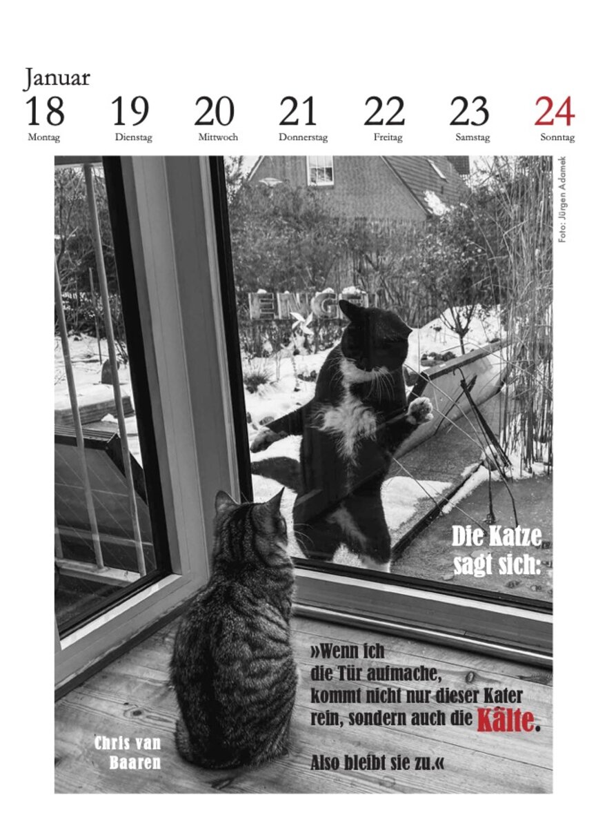 Auf diesem Bild sehen Sie das Produktbild 2 f�r D. LITERARISCHE KATZENKALENDER 2027 -