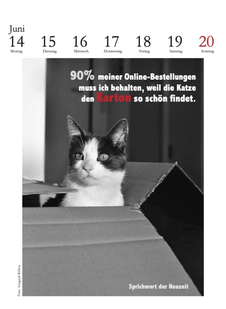 Auf diesem Bild sehen Sie das Produktbild f�r 5 D. LITERARISCHE KATZENKALENDER 2027 -