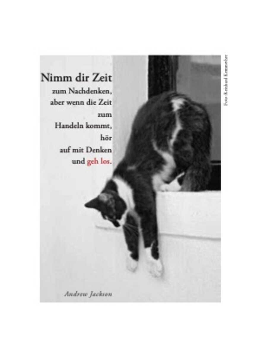 Auf diesem Bild sehen Sie das Produktbild 3 f�r KATZEN TASCHENKALENDER 2027 -