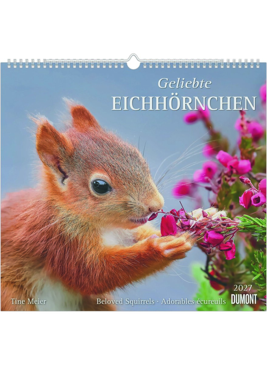 Auf diesem Bild sehen Sie das Produktbild 1 f�r KALENDER GELIEBTE EICHH�RNCHEN 2027 -