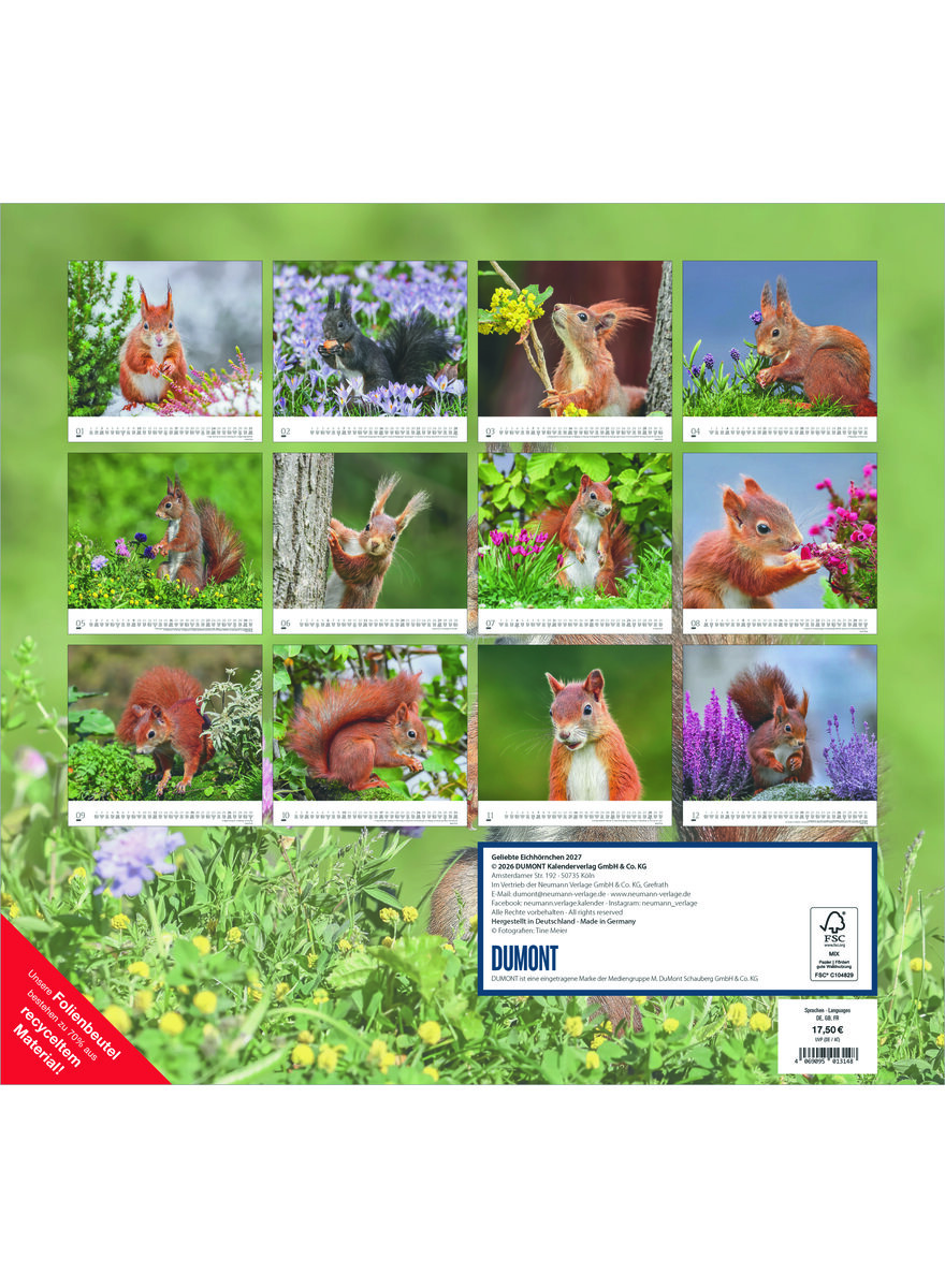 Auf diesem Bild sehen Sie das Produktbild 4 f�r KALENDER GELIEBTE EICHH�RNCHEN 2027 -