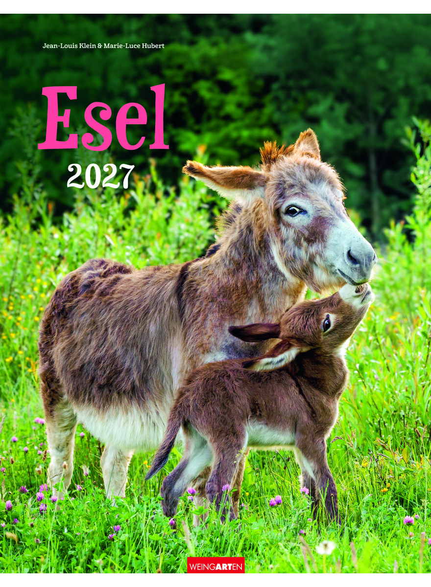 Auf diesem Bild sehen Sie das Produktbild 1 f�r KALENDER ESEL 2027 -