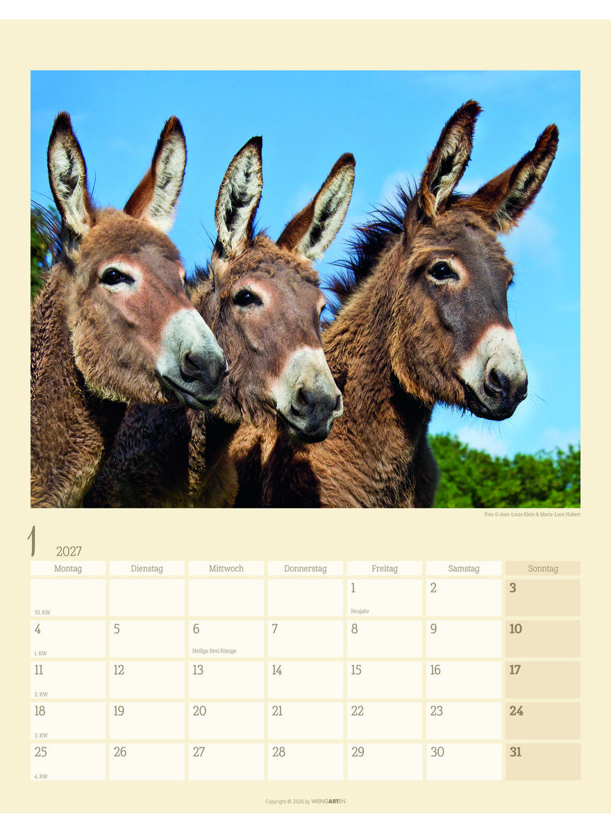 Auf diesem Bild sehen Sie das Produktbild 2 f�r KALENDER ESEL 2027 -