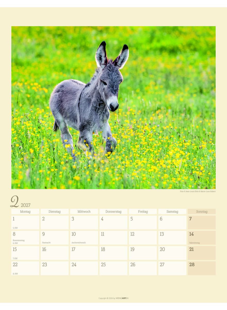 Auf diesem Bild sehen Sie das Produktbild 3 f�r KALENDER ESEL 2027 -