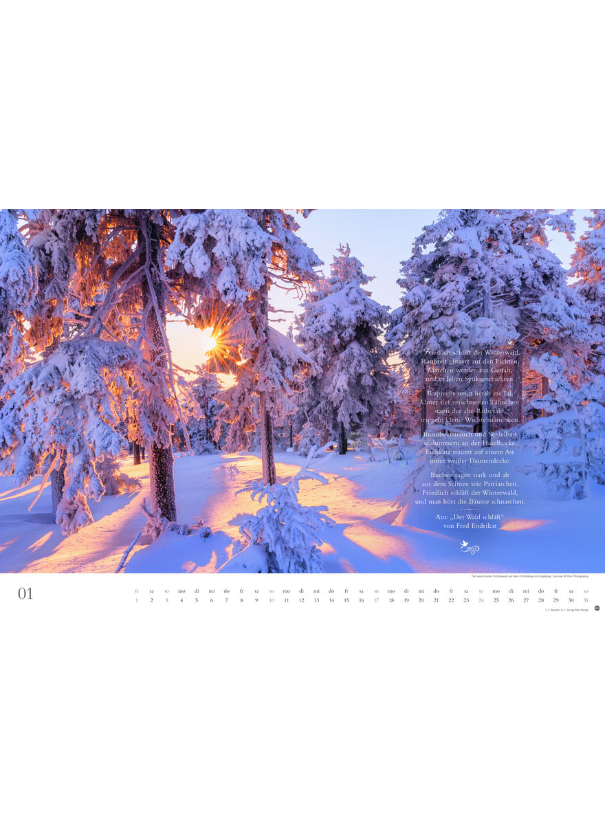 Auf diesem Bild sehen Sie das Produktbild 2 f�r KALENDER DER DEUTSCHE WALD - EIN LITERARISCHER SPAZIERGANG 2027