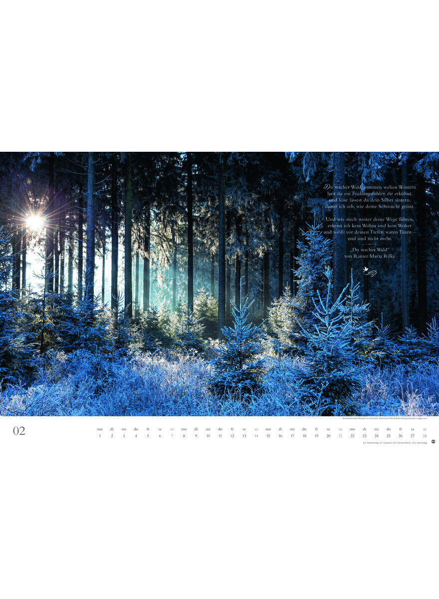 Auf diesem Bild sehen Sie das Produktbild 3 f�r KALENDER DER DEUTSCHE WALD - EIN LITERARISCHER SPAZIERGANG 2027