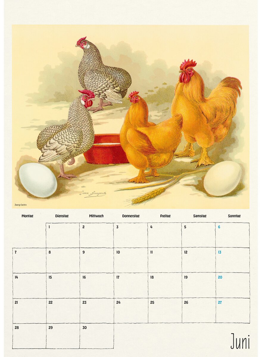 Auf diesem Bild sehen Sie das Produktbild 2 f�r WANDKALENDER H�HNER 2027 -
