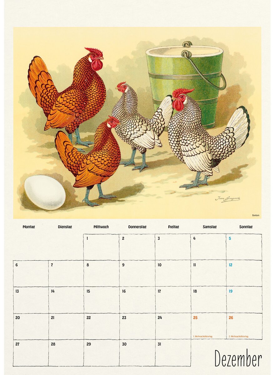 Auf diesem Bild sehen Sie das Produktbild 3 f�r WANDKALENDER H�HNER 2027 -