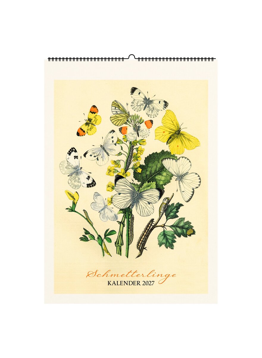 Auf diesem Bild sehen Sie das Produktbild 1 f�r WANDKALENDER SCHMETTERLINGE 2027