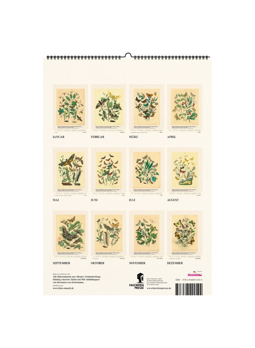 Auf diesem Bild sehen Sie das Produktbild 4 f�r WANDKALENDER SCHMETTERLINGE 2027