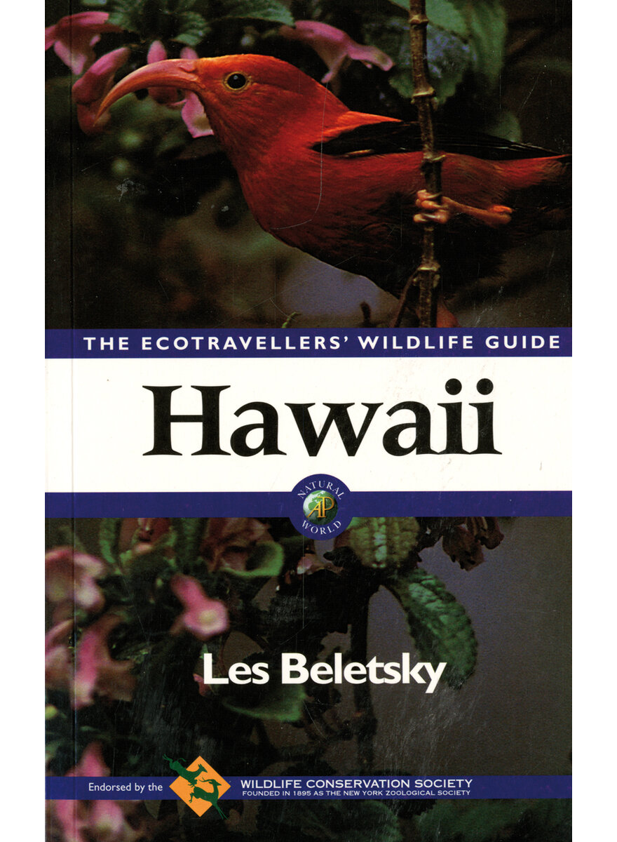 Auf diesem Bild sehen Sie das Produktbild 1 fr BELETSKY, HAWAII