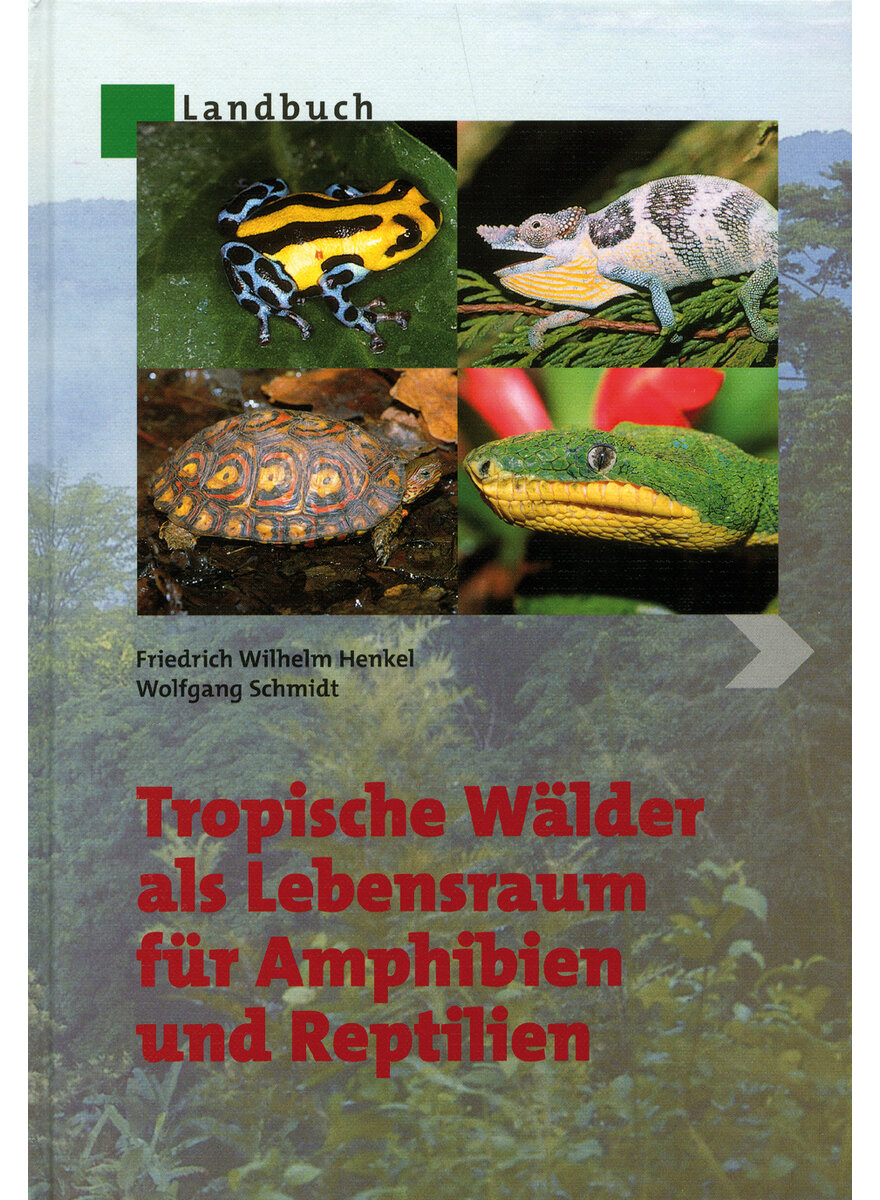 TROPISCHE WLDER ALS    (M) LEBENSRAUM FR AMPHIBIEN UND REPTILIEN - HENKEL/SCHMIDT