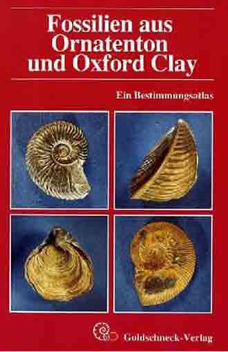 MARTILL, FOSSILIEN AUS ORNATENTON UND OXFORD CLAY (BRAUNES JURA)  (494-01355)