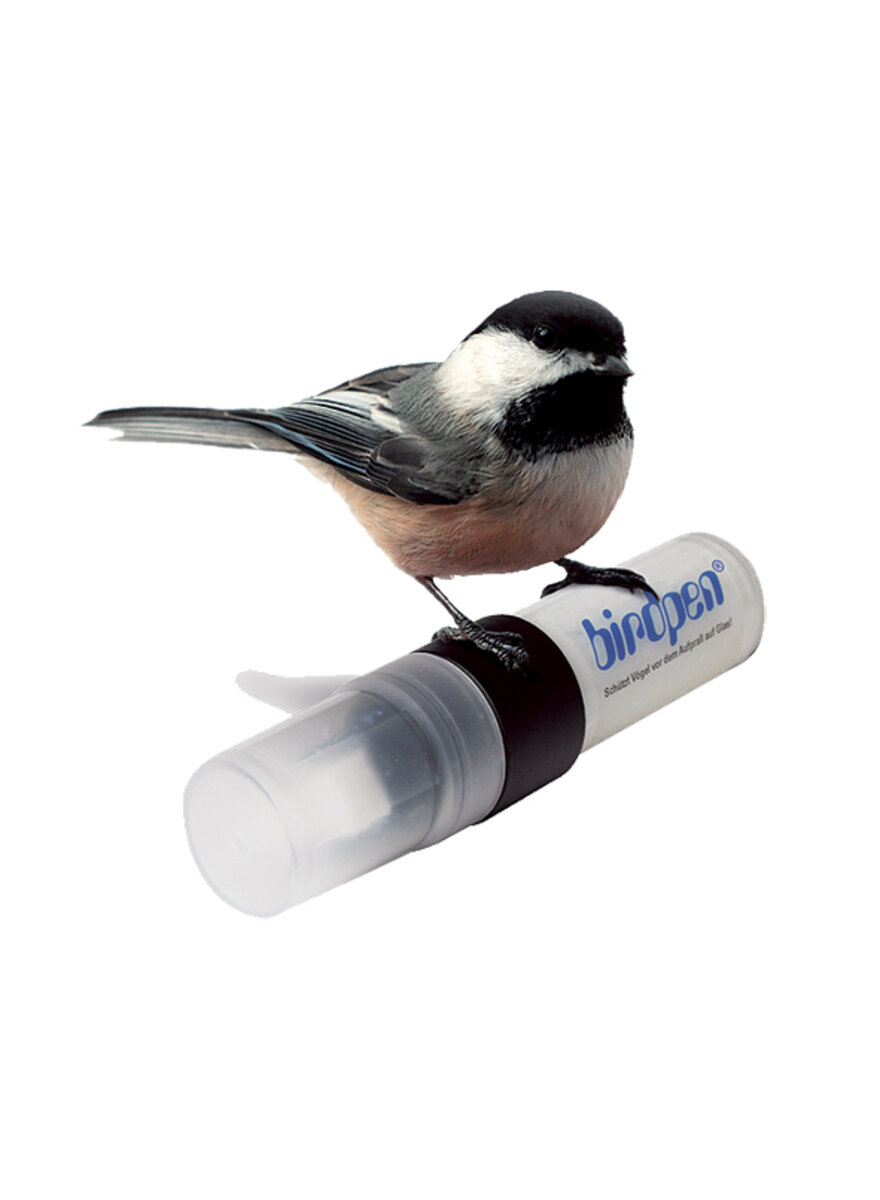 BIRDPEN STIFT UND SCHABER