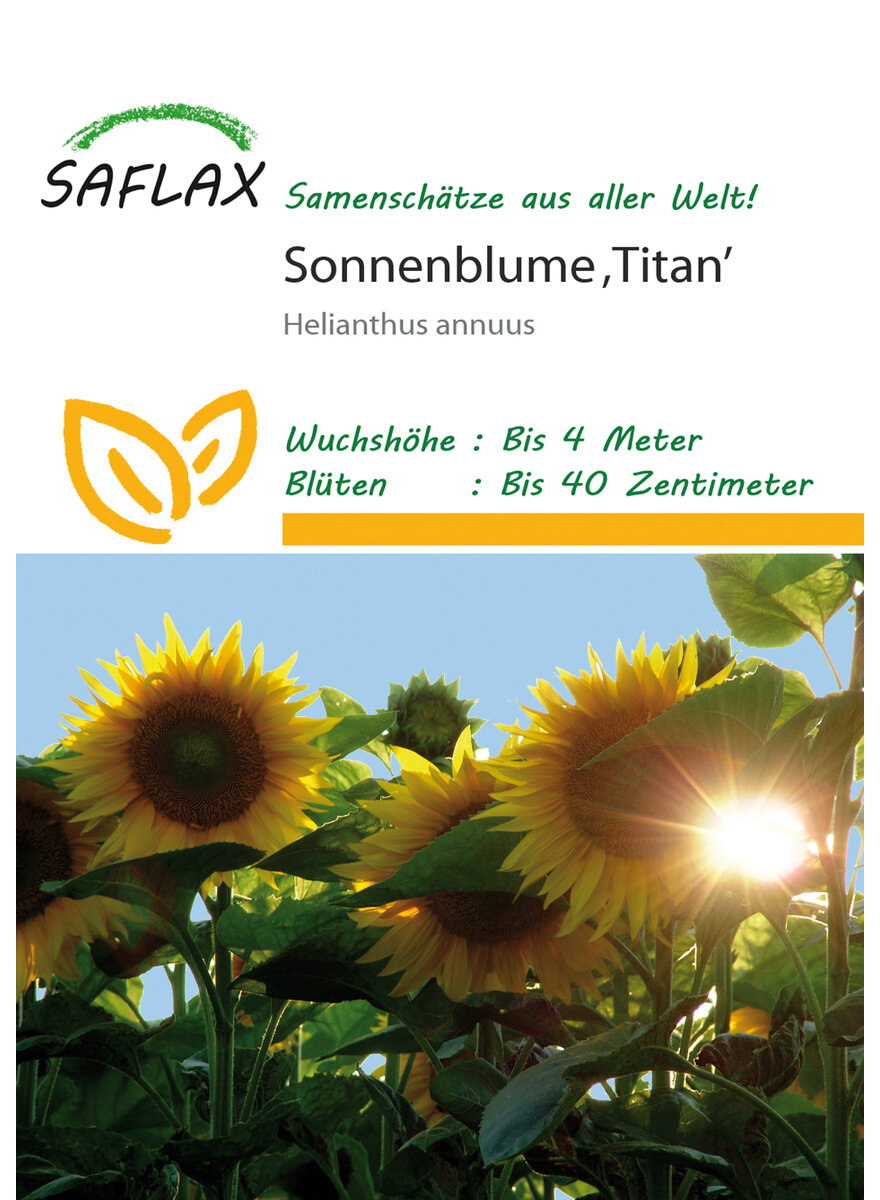 Auf diesem Bild sehen Sie das Produktbild 1 fr RIESENSONNENBLUMEN-SAMEN