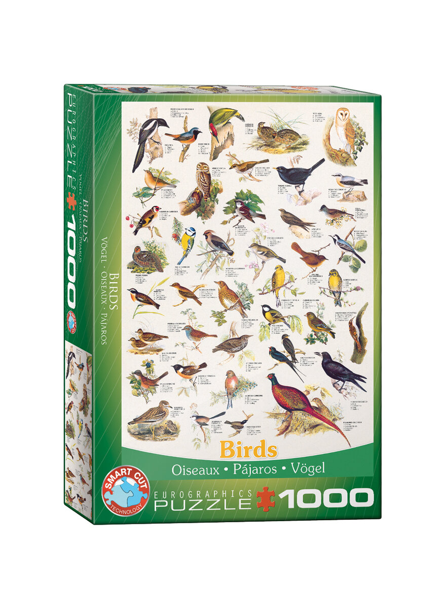 PUZZLE VGEL - 1000 TEILE