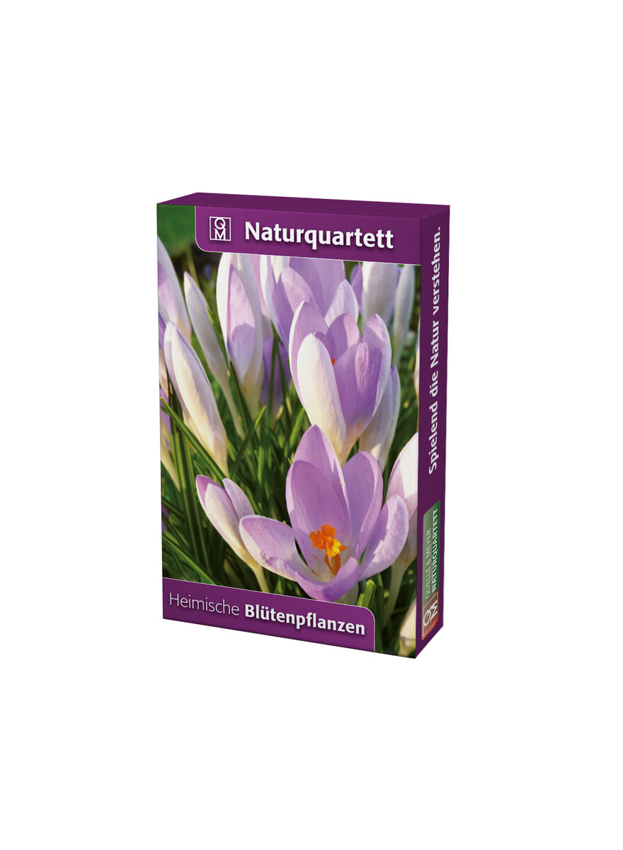 NATURQUARTETT BLTENPFLANZEN