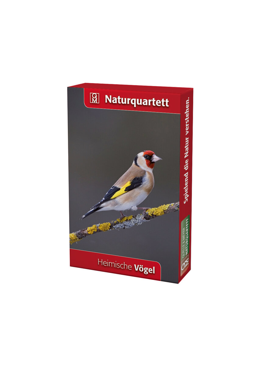 NATURQUARTETT VGEL