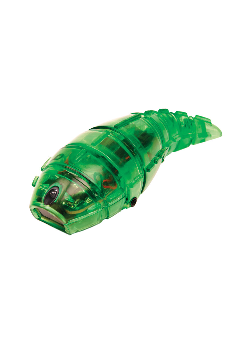 ROBOTERINSEKT HEXBUG LARVA