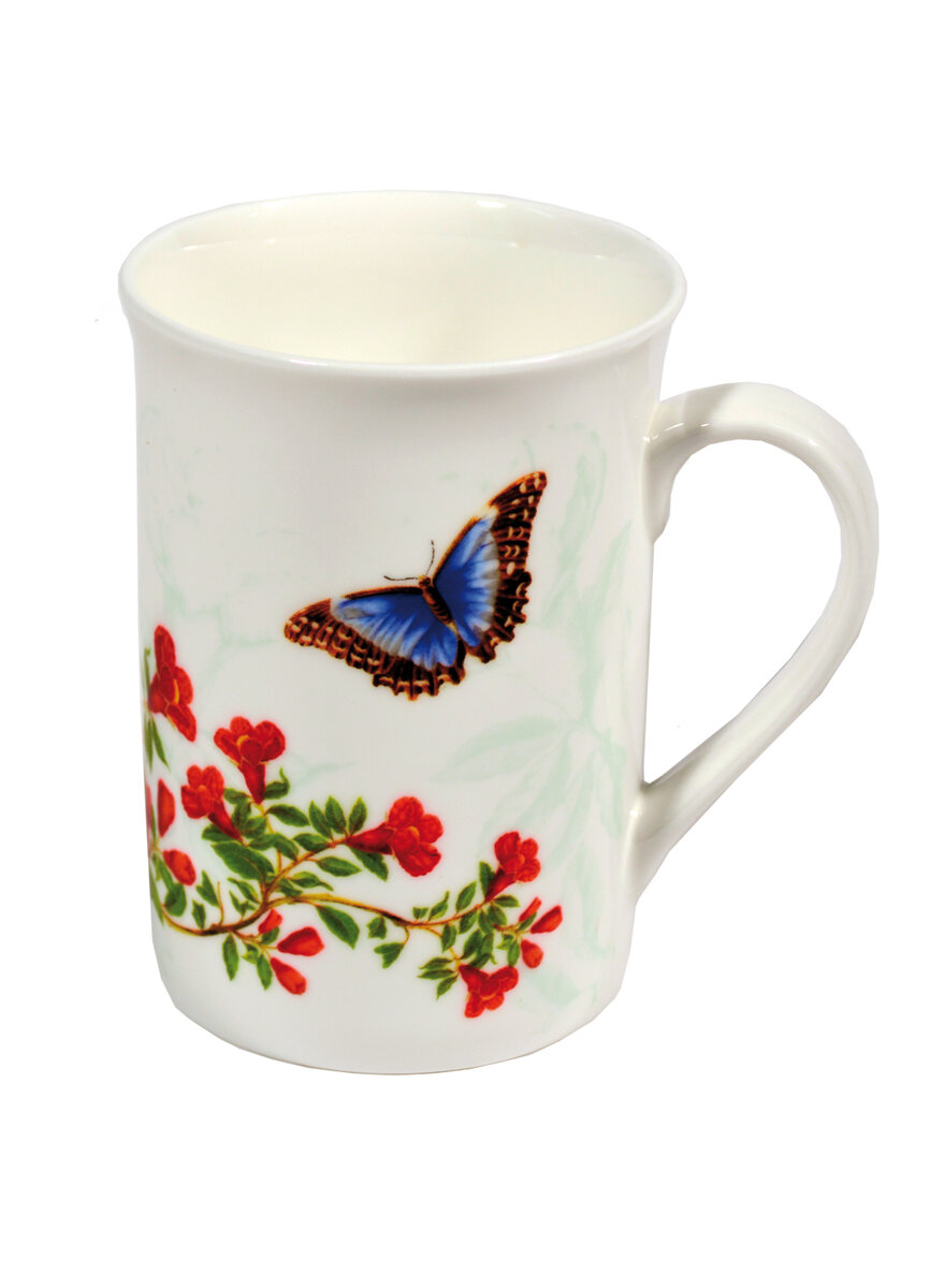 BECHER MERIAN HIMMELSFALTER AUF GRANATAPFEL