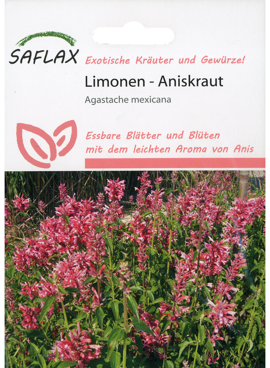 Auf diesem Bild sehen Sie das Produktbild 1 fr LIMONEN-ANISKRAUT SAMEN