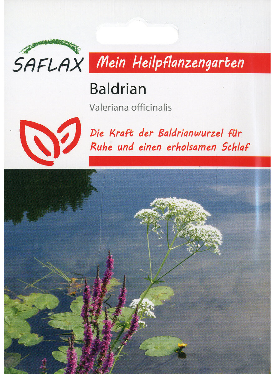 BALDRIAN SAMEN