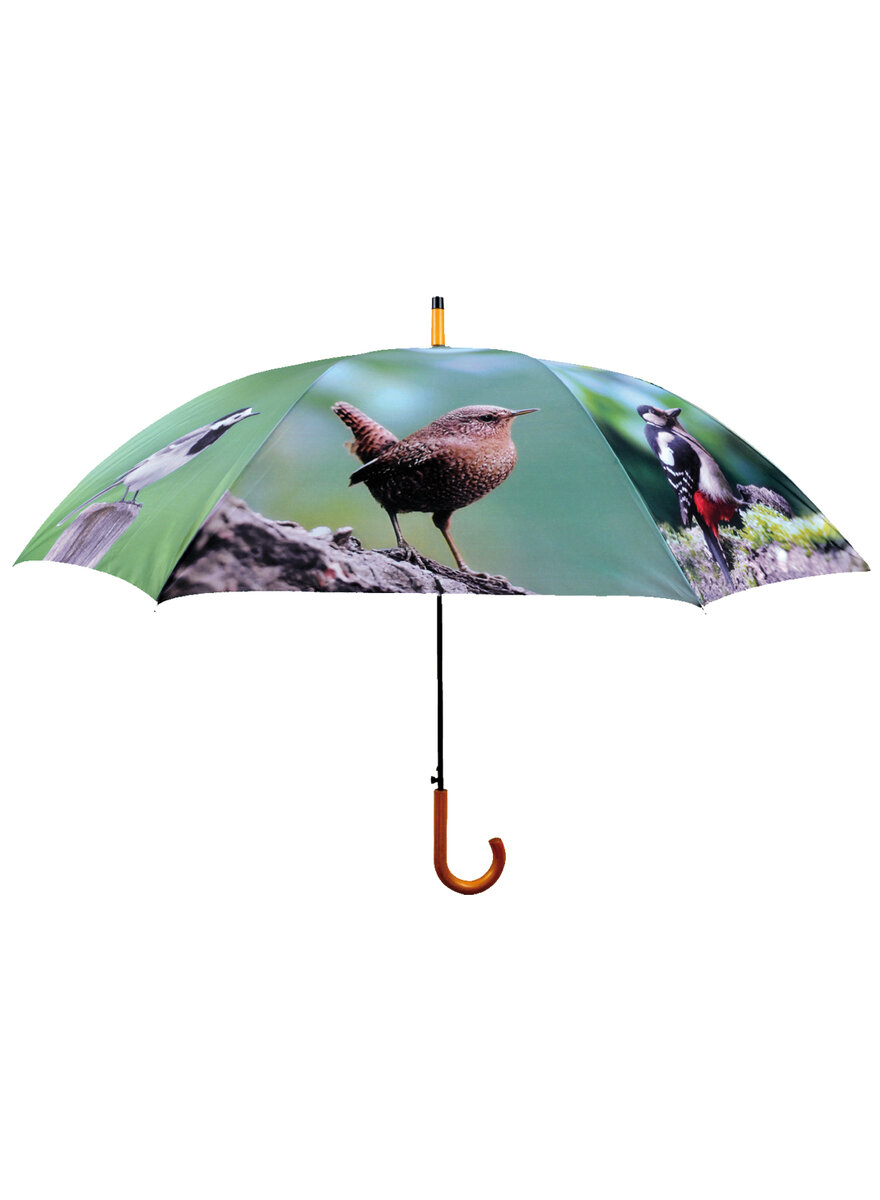 REGENSCHIRM SINGVGEL