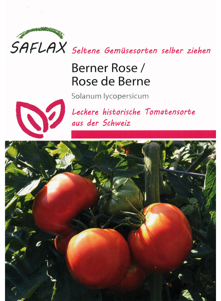 Auf diesem Bild sehen Sie das Produktbild 1 fr BERNER ROSE TOMATEN-SAMEN