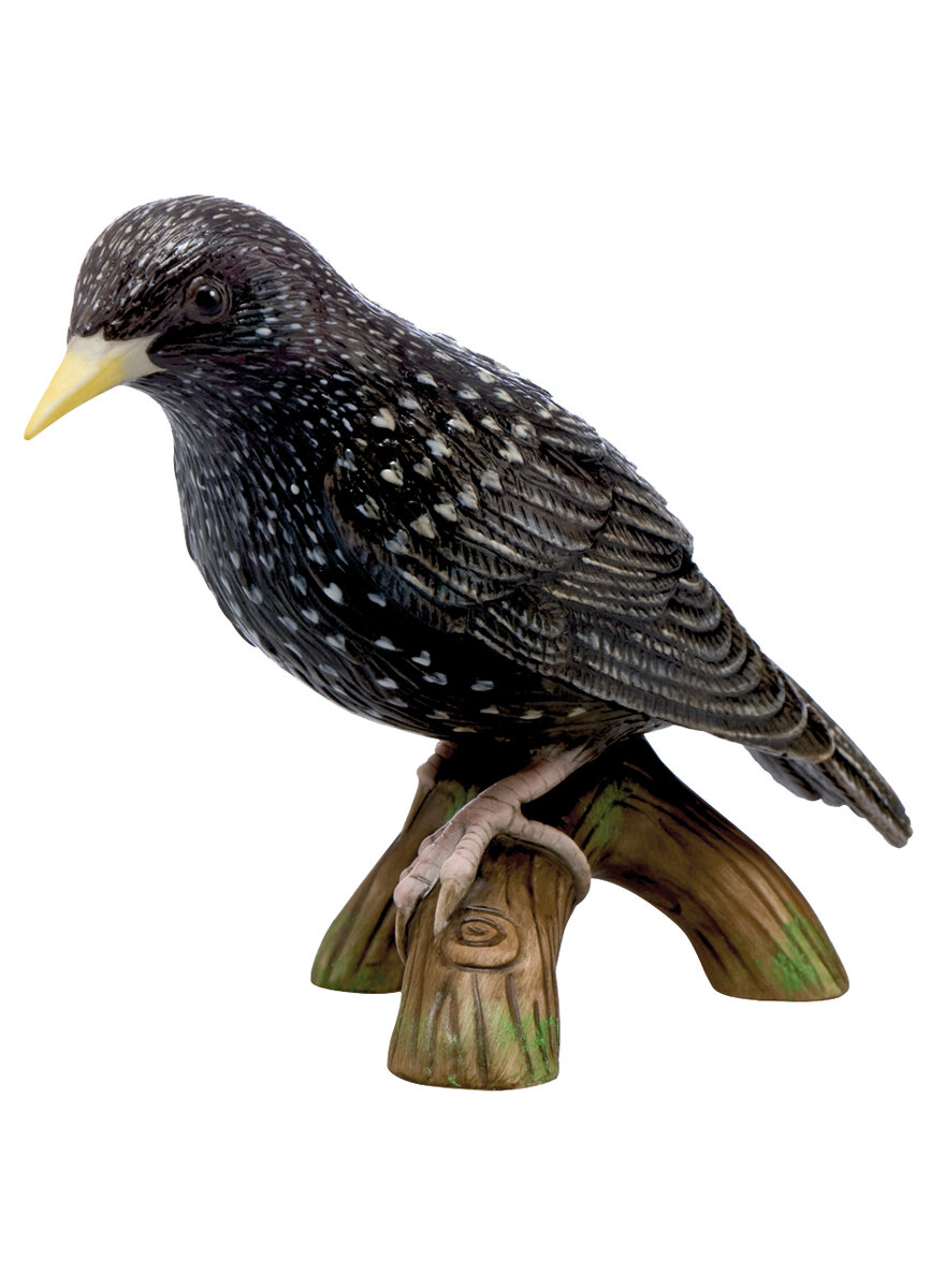 Auf diesem Bild sehen Sie das Produktbild 1 f�r PORZELLAN-SKULPTUR STAR - VOGEL DES JAHRES 2018