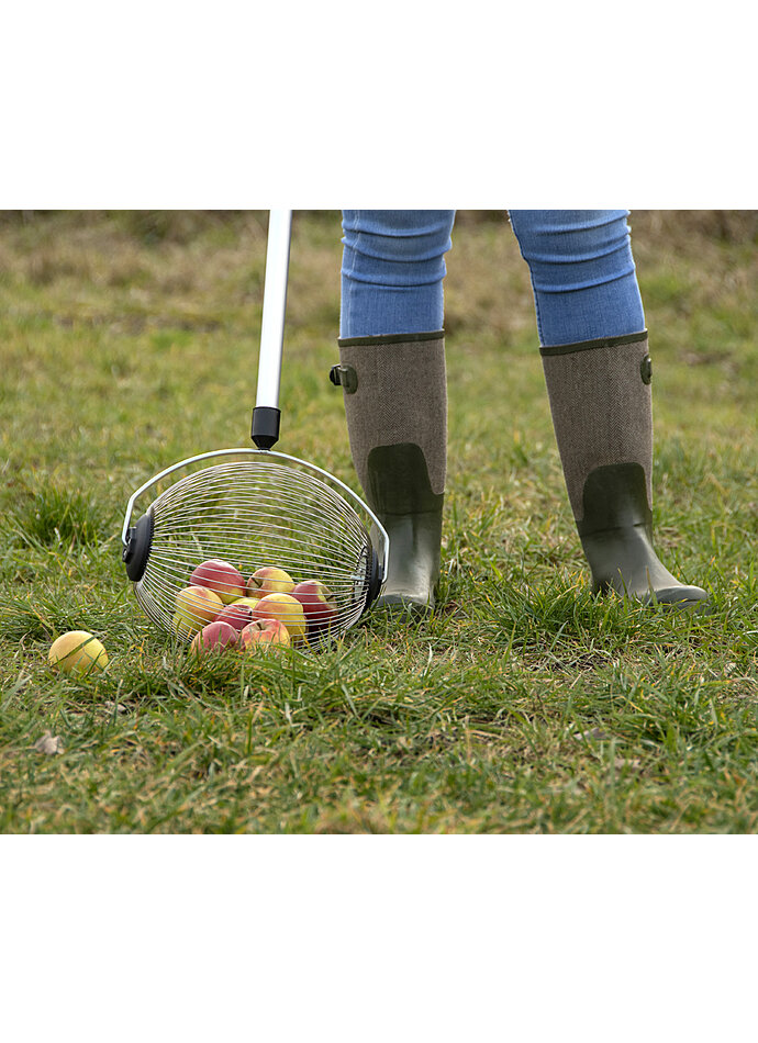 Auf diesem Bild sehen Sie das Produktbild 3 fr NUSS- UND OBSTSAMMLER