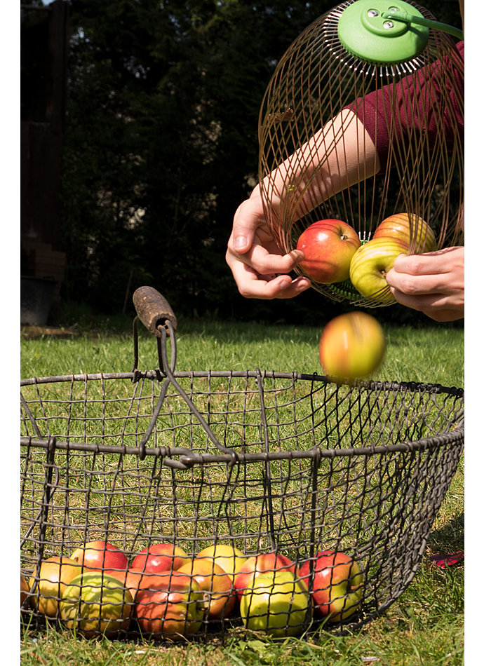 Auf diesem Bild sehen Sie das Produktbild 4 fr NUSS- UND OBSTSAMMLER