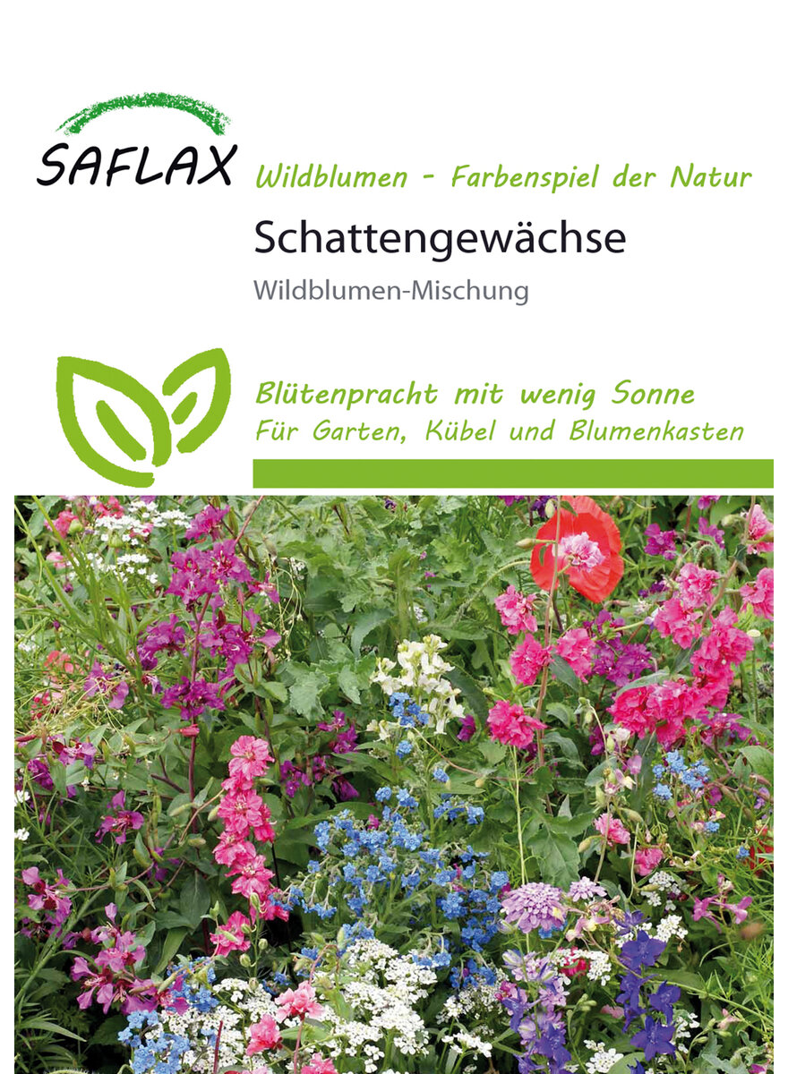Auf diesem Bild sehen Sie das Produktbild 1 fr SCHATTENGEWCHSE WILDBLUMEN- MISCHUNG PFLANZENSAMEN