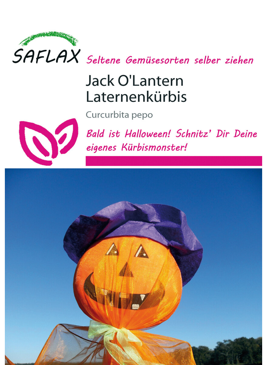 JACK O'LANTERN LATERNENKRBIS PFLANZENSAMEN