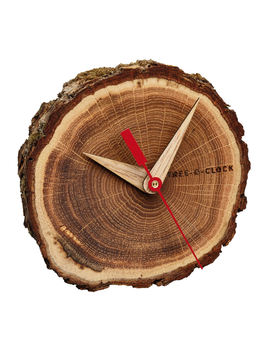 TREE-O-CLOCK TISCHUHR EICHE