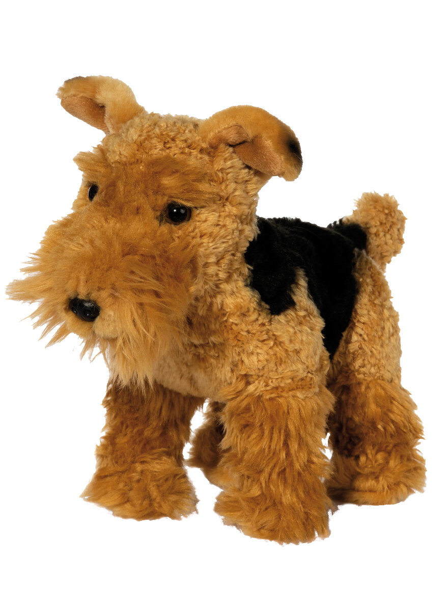 AIREDALE TERRIER STEHEND