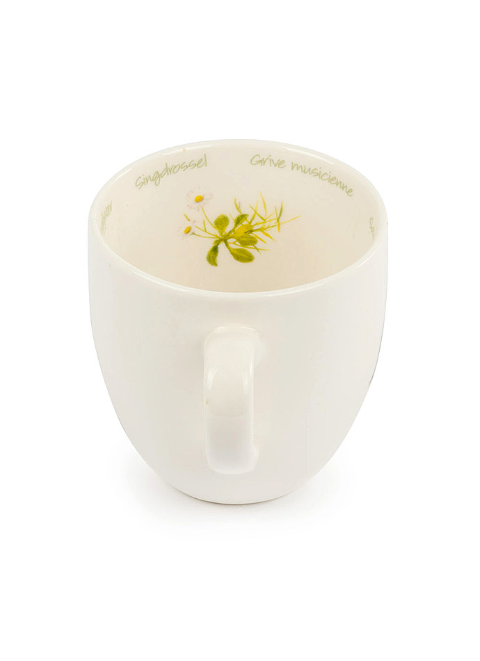 Auf diesem Bild sehen Sie das Produktbild 3 fr VOGELTASSE SINGDROSSEL - ELWIN VAN DER KOLK