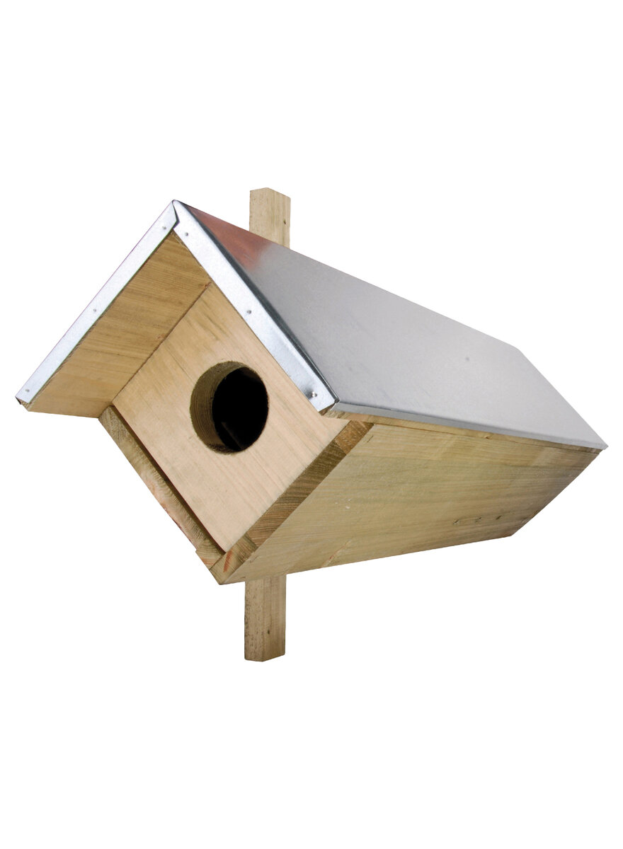 Auf diesem Bild sehen Sie das Produktbild 1 fr STEINKAUZ-KASTEN STEINKAUZKASTEN NISTKASTEN