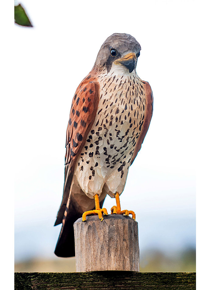 TURMFALKE - HANDGESCHNITZTER VOGEL AUS HOLZ Bild 4