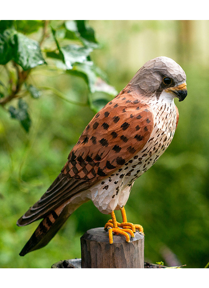 TURMFALKE - HANDGESCHNITZTER VOGEL AUS HOLZ Bild 5