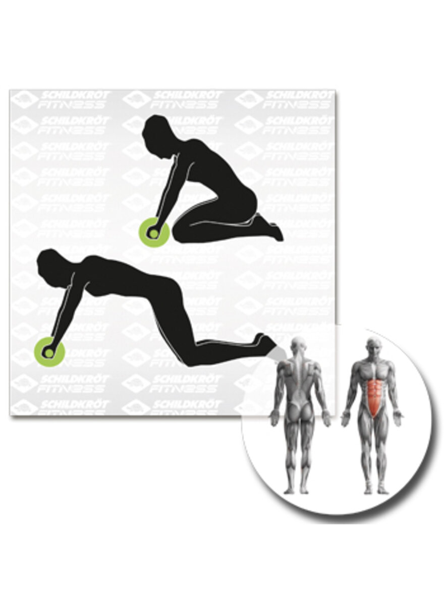 BAUCHTRAINER AB-ROLLER Bild 3
