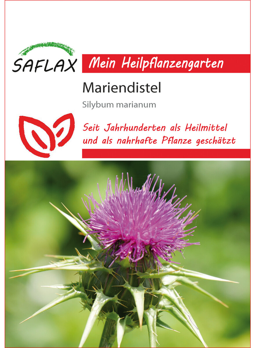 Auf diesem Bild sehen Sie das Produktbild 1 fr SAMEN MARIENDISTEL