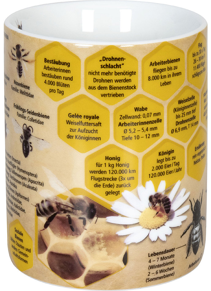 WISSENSBECHER BIENEN Bild 4