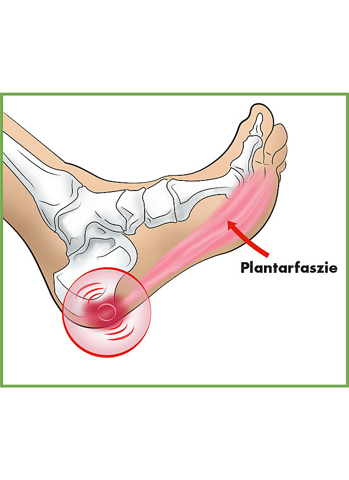 FASZIEN-FUSS-MASSAGEROLLER Bild 3