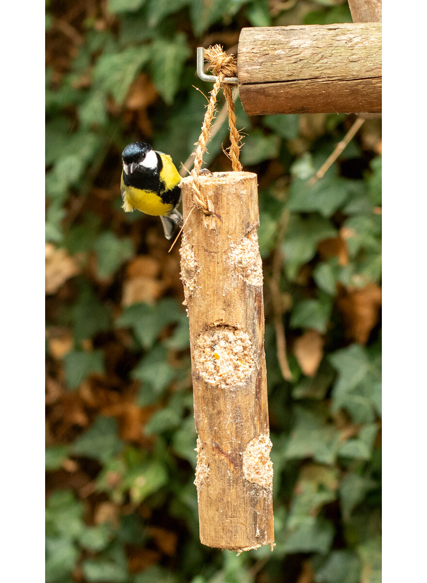 ENERGIEBAUMSTAMM VOGELFUTTER