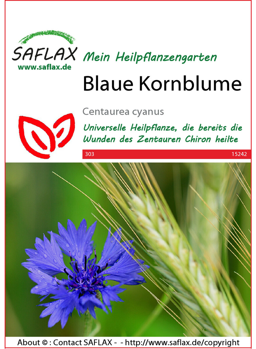 Auf diesem Bild sehen Sie das Produktbild 1 fr BLAUE KORNBLUME SAMEN