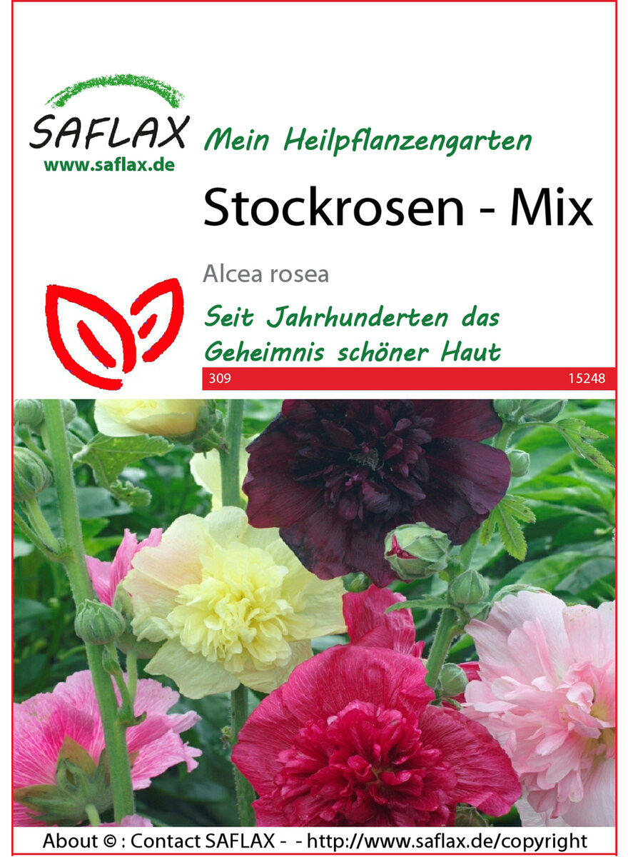 STOCKROSEN MIX SAMEN