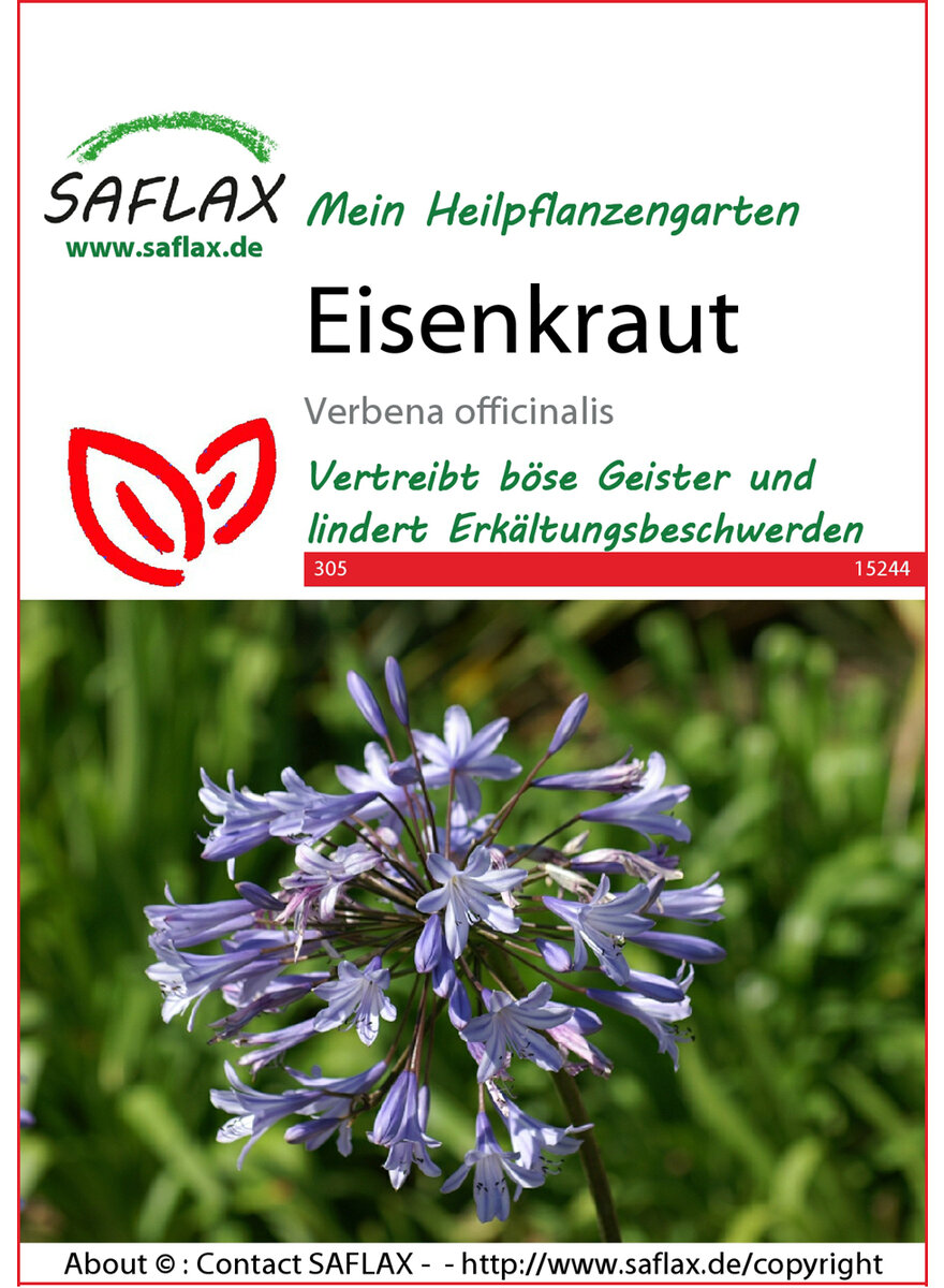 Auf diesem Bild sehen Sie das Produktbild 1 fr EISENKRAUT SAMEN
