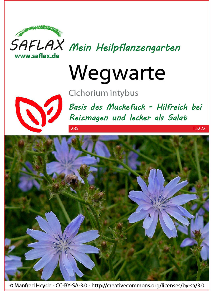 Auf diesem Bild sehen Sie das Produktbild 1 fr SAMEN WEGWARTE